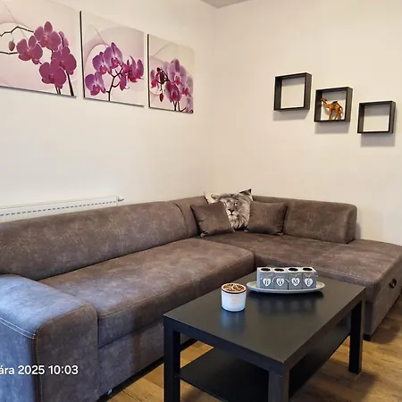 Apartment Triginta Samorin